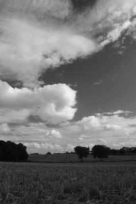 Near Hinton Charterhouse, summer 2003