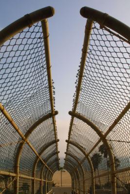 ped bridge.jpg