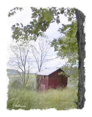 Judys barn
