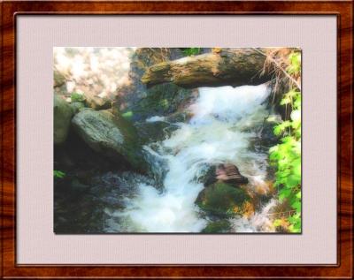 Balch Park