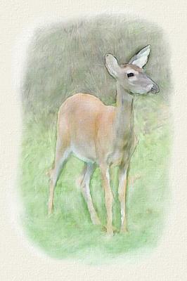 Bambi
