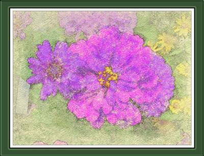 u39/arenared986/medium/25475857.Zinnias.jpg
