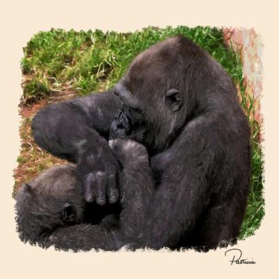 Gorilla