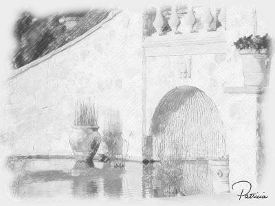 Water garden sketch