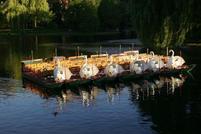 Swan Boats, Boston Public Garden