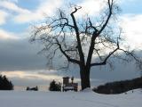 Under the tree // Mohonk