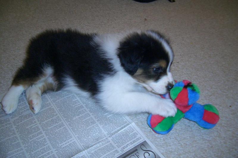 Playing Is Hard Work 2.jpg