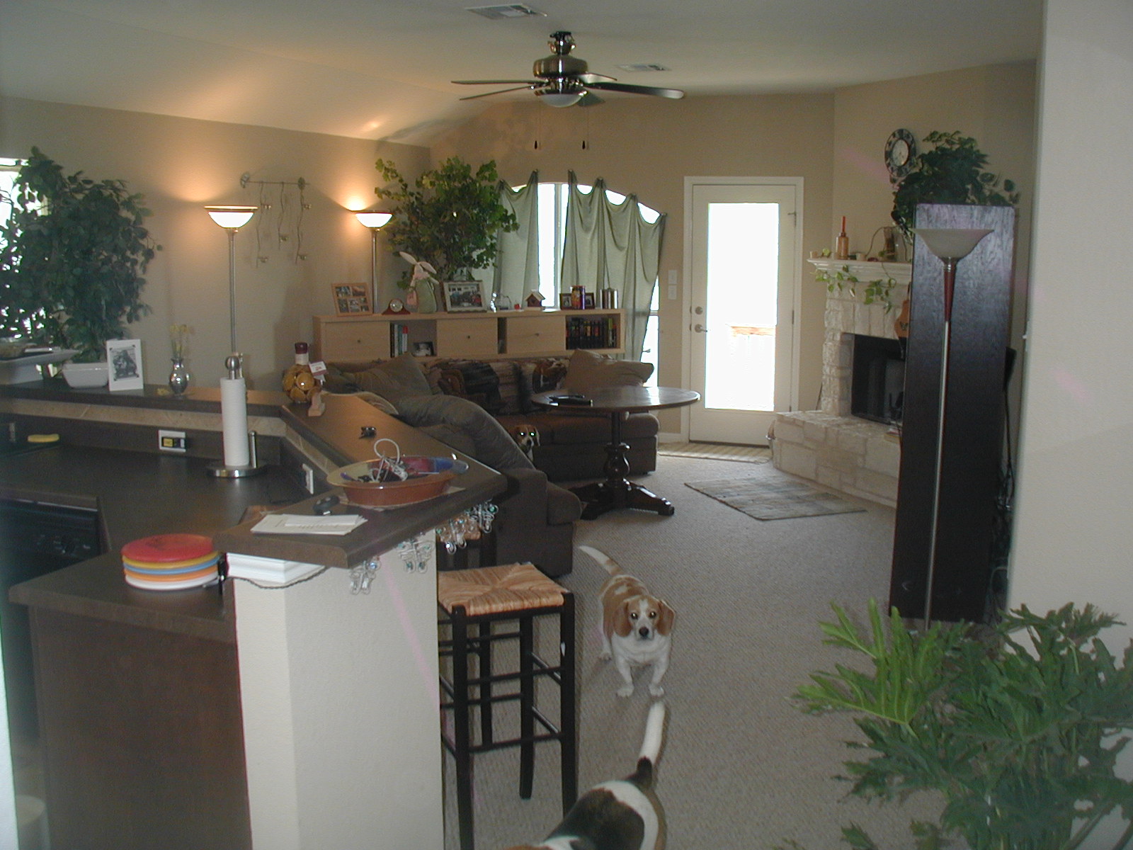 PIC00099.JPG