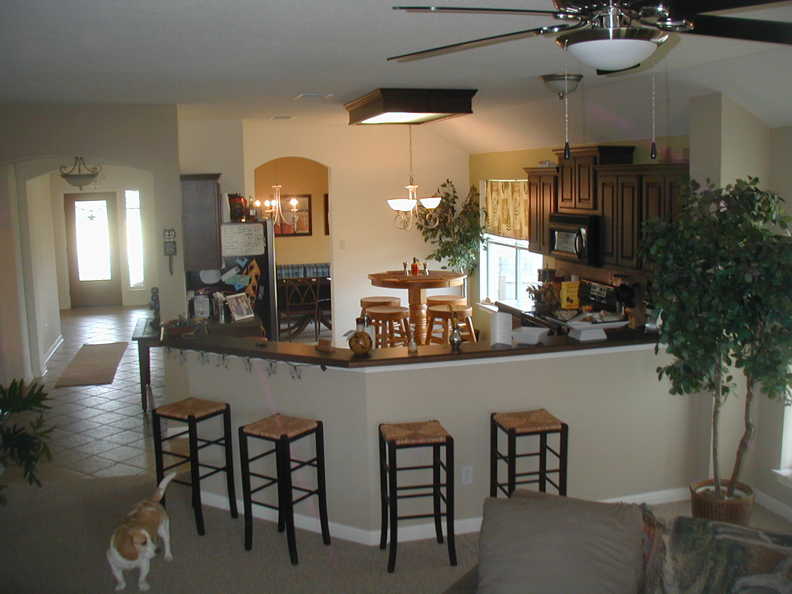 PIC00100.JPG