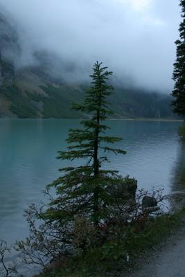 Lake Louise at Sunrise