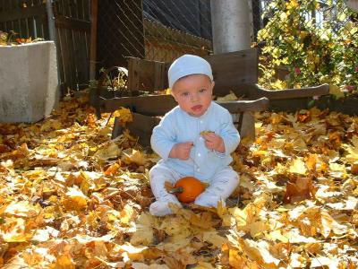 Max in the leaves