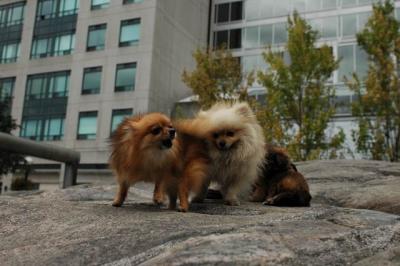 Oct9aa_04_058.JPG