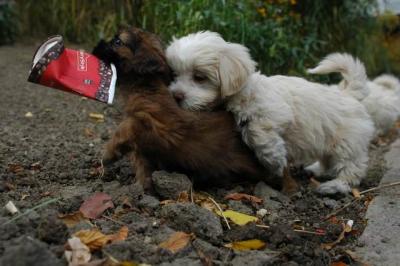 Oct9aa_04_059.JPG