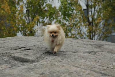 Oct9aa_04_066.JPG