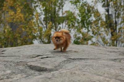 Oct9aa_04_078.JPG