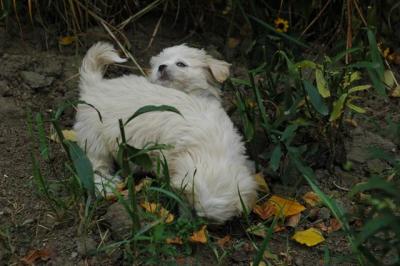 Oct9aa_04_143.JPG