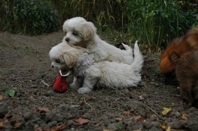 Oct9aa_04_233.JPG