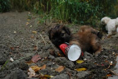Oct9aa_04_237.JPG