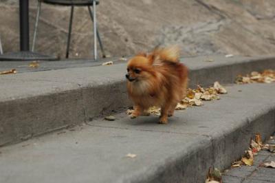 Oct9aa_04_238.JPG