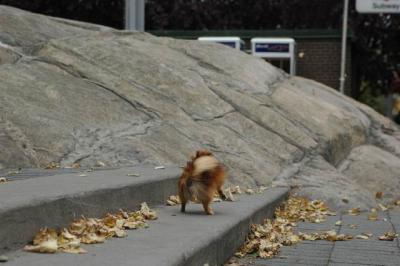 Oct9aa_04_248.JPG