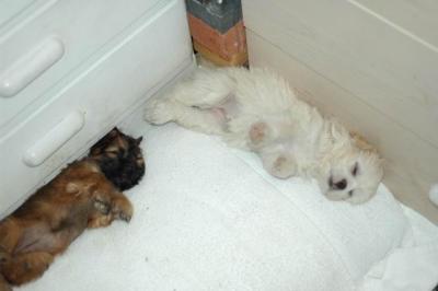 Oct9aa_04_268.JPG