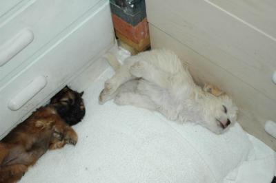 Oct9aa_04_269.JPG