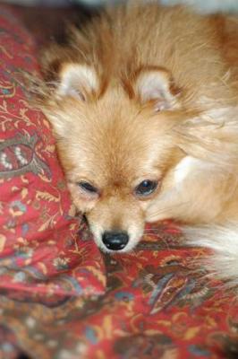 Oct9aa_04_284.JPG