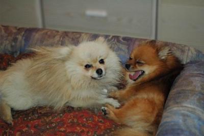 Oct10aa_04_004.JPG