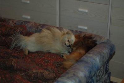 Oct10aa_04_007.JPG