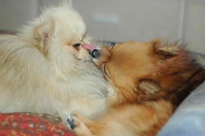 Oct10aa_04_011.JPG