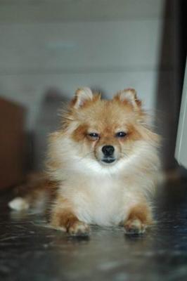 Oct10aa_04_027.JPG