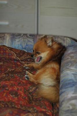 Oct10aa_04_030.JPG