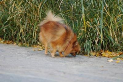 Oct10aa_04_085.jpg