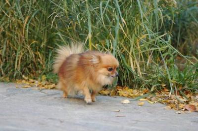 Oct10aa_04_092.JPG