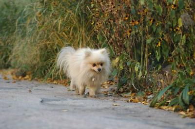 Oct10aa_04_119.JPG