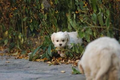 Oct10aa_04_121.JPG