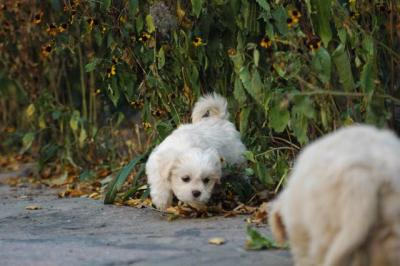Oct10aa_04_122.JPG