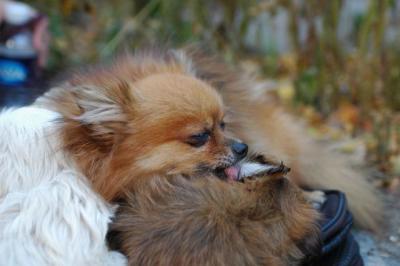 Oct10aa_04_140.JPG