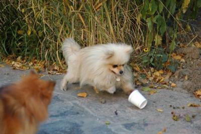 Oct10aa_04_200.JPG