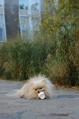 Oct10aa_04_207.JPG