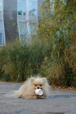 Oct10aa_04_208.JPG