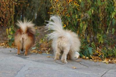 Oct10aa_04_220.JPG