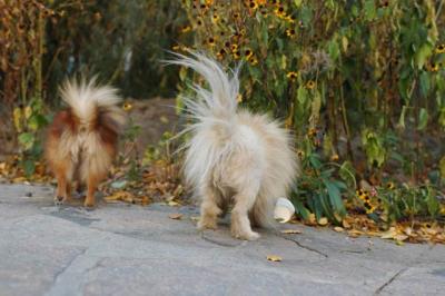 Oct10aa_04_221.JPG