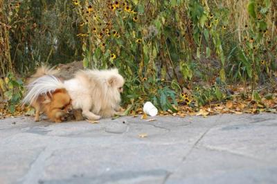Oct10aa_04_222.JPG