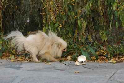 Oct10aa_04_225.JPG