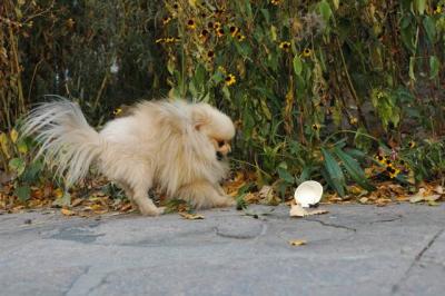 Oct10aa_04_226.JPG