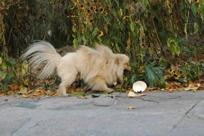 Oct10aa_04_227.JPG