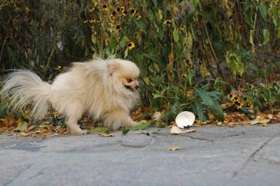 Oct10aa_04_228.JPG