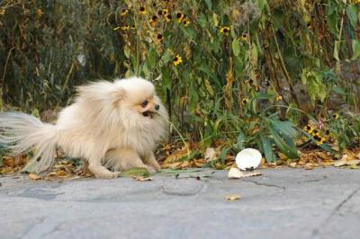 Oct10aa_04_230.JPG
