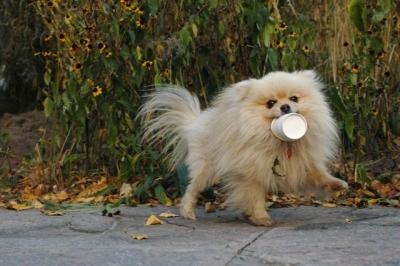 Oct10aa_04_232.JPG